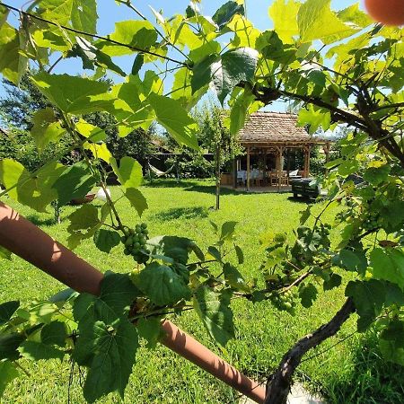 Valchid Guest House Екстериор снимка