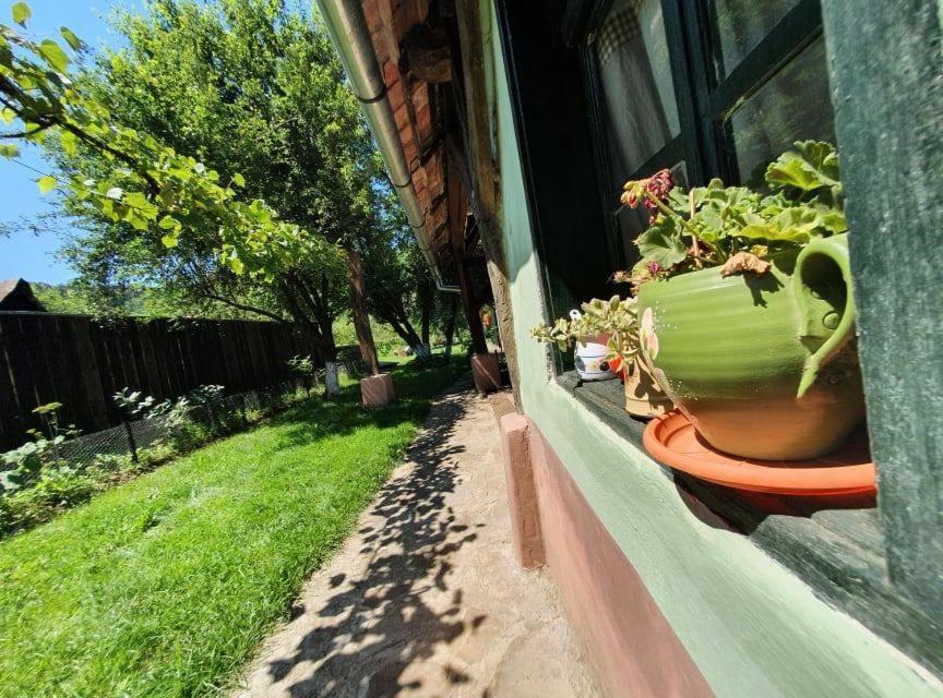 Valchid Guest House Екстериор снимка