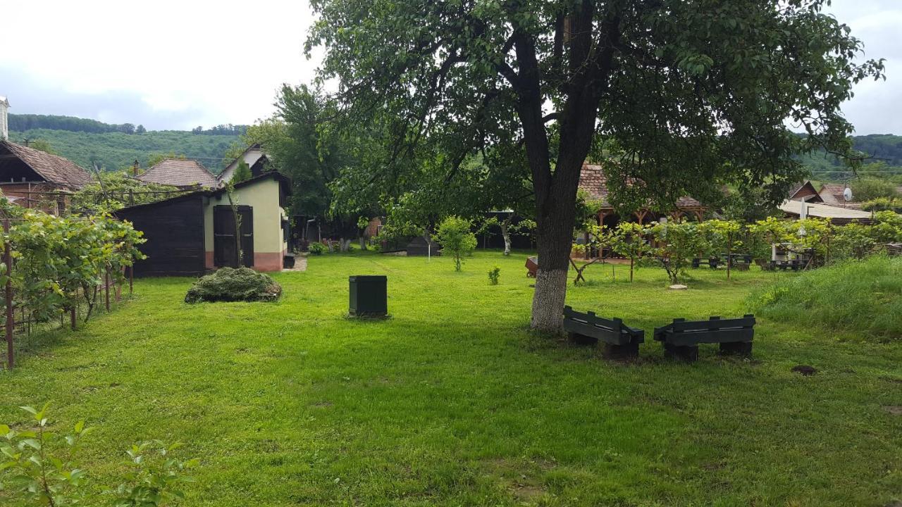 Valchid Guest House Екстериор снимка