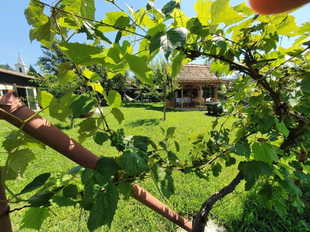 Valchid Guest House Екстериор снимка