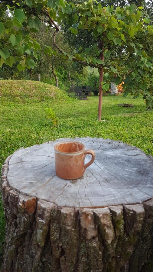 Valchid Guest House Екстериор снимка